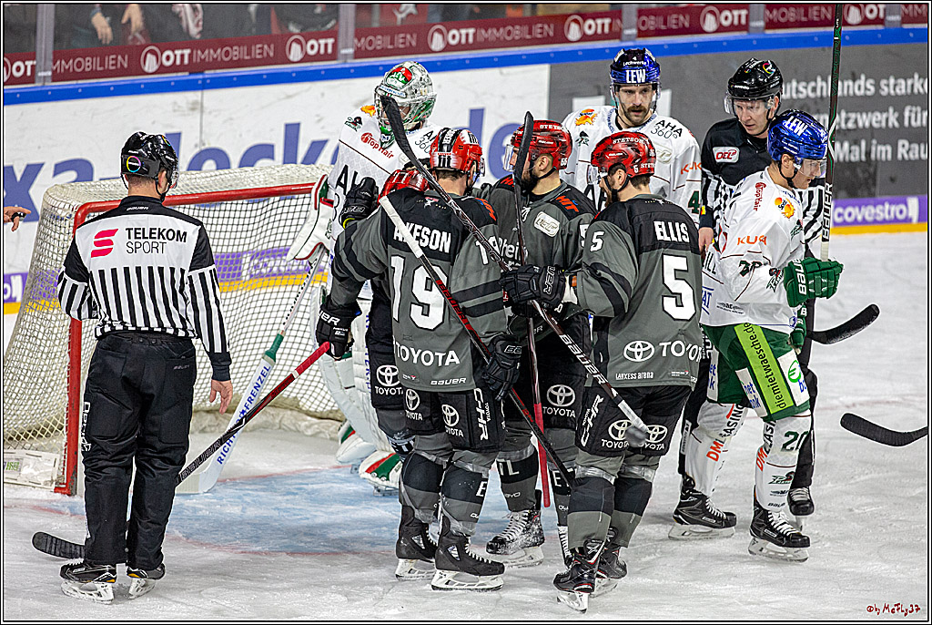 DEL; Koelner Haie - Augsburger Panther, 14.11.2018